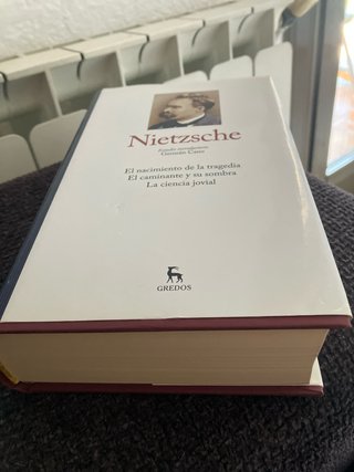 Libro Niezstche