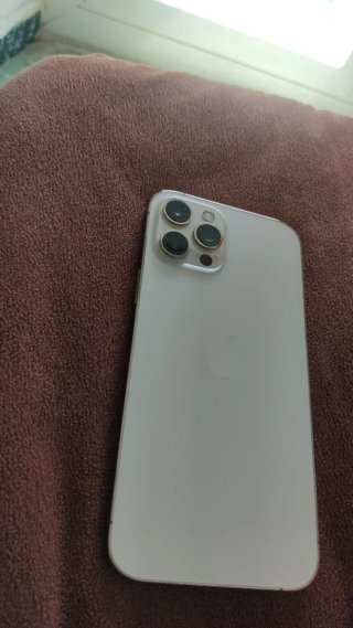 iPhone 12 Pro Max Dorado/Plateado