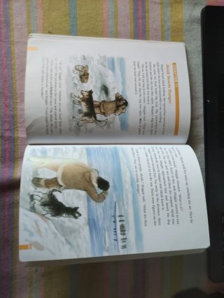 ESKIMO ADVENTURE ESO2 ACTIVITY