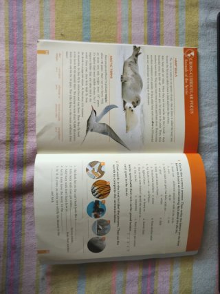 ESKIMO ADVENTURE ESO2 ACTIVITY