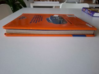 Libro Los amigos de Rayo