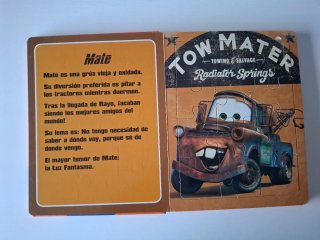 Libro Los amigos de Rayo