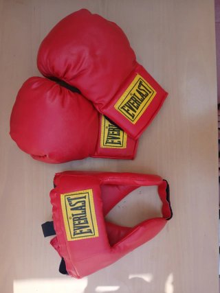 Guantes y Protector Bucal Boxeo Everlast