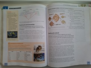 IB Biologia Libro Del Alumno: Programa Del Dipl...