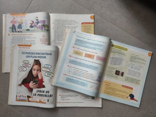 Lengua Castellana y Literatura, 4 Primaria, Moc...