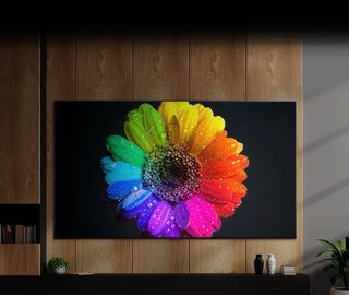 LG 65QNED866RE TV