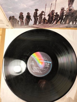 Doppio disco vinile LP - Jesus Christ Superstar
