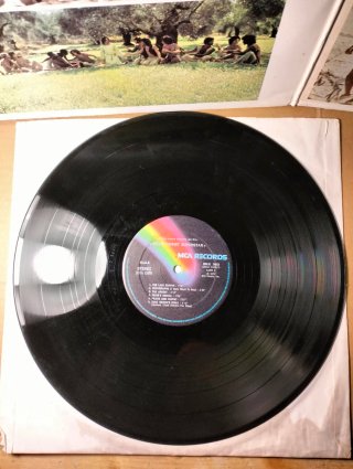 Doppio disco vinile LP - Jesus Christ Superstar