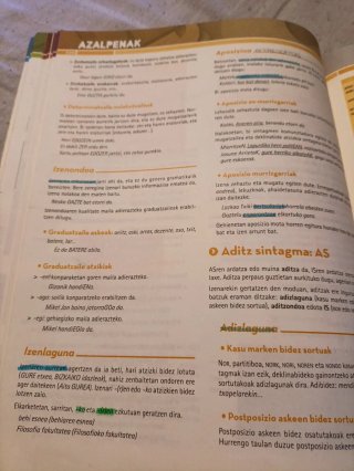 Hizkuntzan trebatzen I euskara eta literatura :...