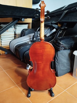 Viola Gliga Gama I 15.5