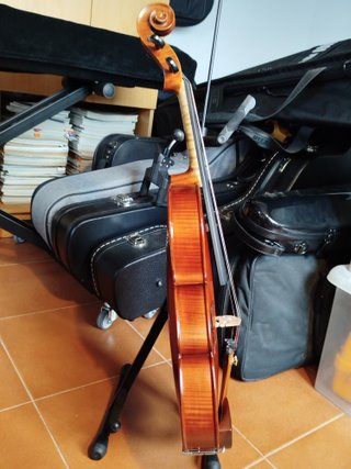Viola Gliga Gama I 15.5