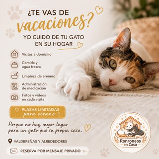 Catsitter en Valdepeñas y alrededores