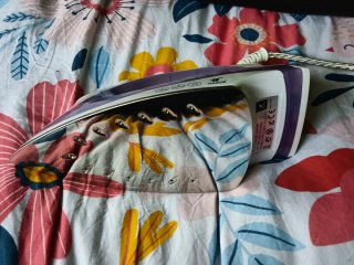 Plancha de vapor morada Thulos 2000W