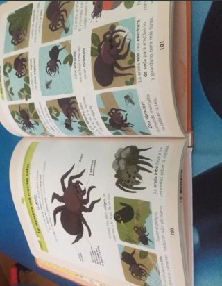 Mi primer laurosse de los animales