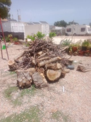Leña para quemar gratis