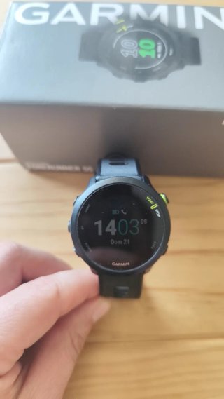 Garmin Forerunner 55 GPS Running Watch
