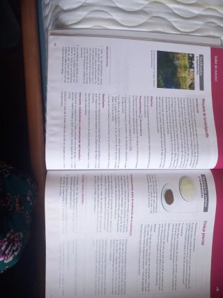 Física y Química 3.