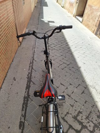 Bicicleta Plegable