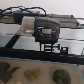 Acuario 100L LED Decoración y comedero con pilas