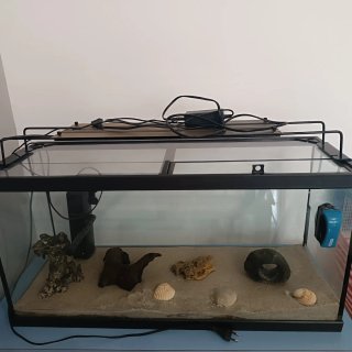 Acuario 100L LED Decoración y comedero con pilas