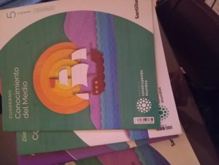 Lengua castellana, 5 Primaria