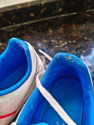 Zapatillas de fútbol sala blancas