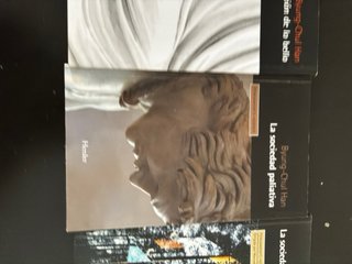 Pack 4 libros Byung-Chul Han