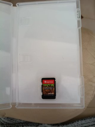 Minecraft Nintendo Switch