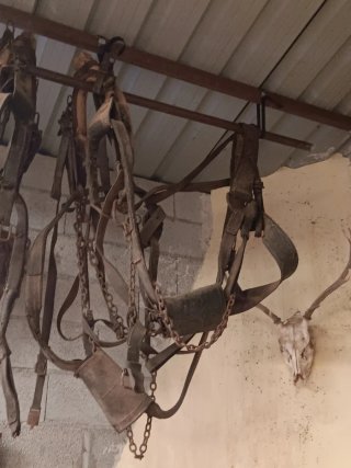 Arreos antiguos de cuero