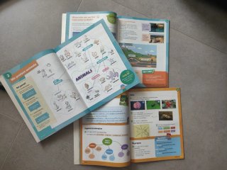 Natural and Social Science, 3 Primary, World Ma...