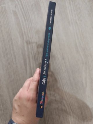 Libro Gatos Y Hechiceras