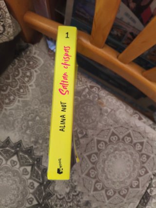 Libro Bad Ash - Alina Not