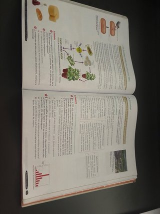 Biología y Geología, 4 ESO, Andalucía