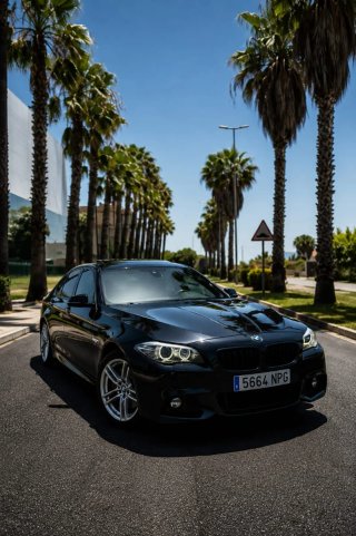 BMW Serie 5 2014
