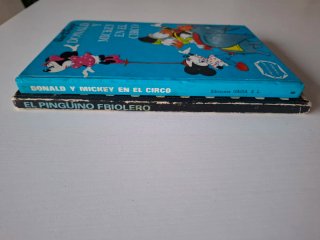 Lote 2 libros antiguos Disney.