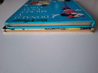 Lote 2 libros antiguos Disney.
