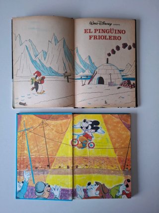 Lote 2 libros antiguos Disney.
