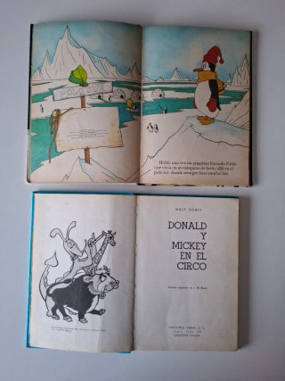 Lote 2 libros antiguos Disney.