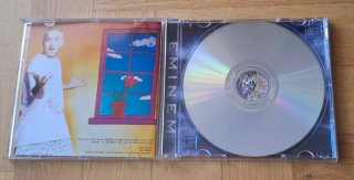 EMINEN - THE SLIM SHADY LP [CD]