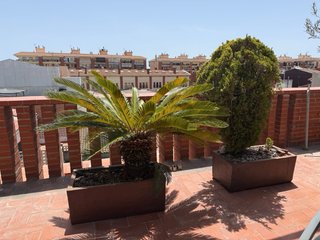 15 Maceteros Grandes Terraza/Jardín