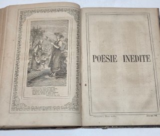 Libro antico 1873 Raccolta di poesie giocose