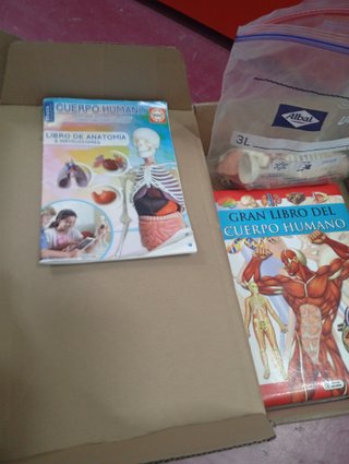 libro de actividad