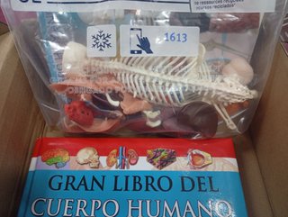 libro de actividad