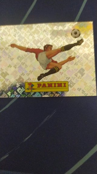 Cromo Panini Mundial Fútbol