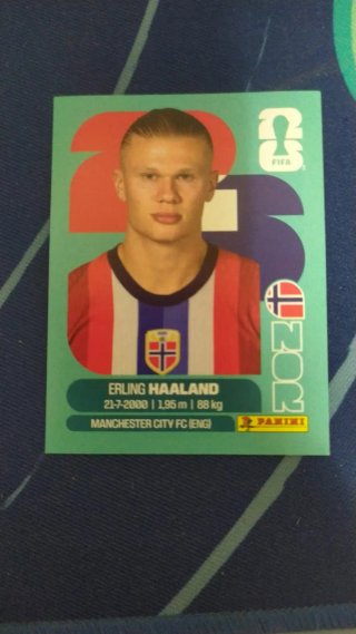 Cromo Erling Haaland Mundial FIFA