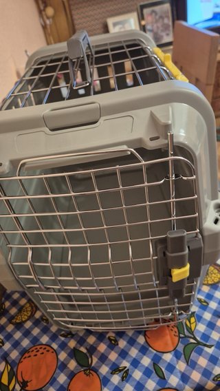 Transportín pequeño para mascotas