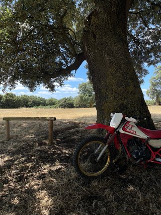 Yamaha DT 80 Enduro Roja y Blanca