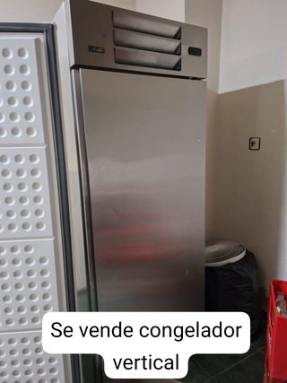 Congelador vertical hostelería