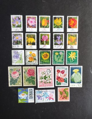 Sellos de flores