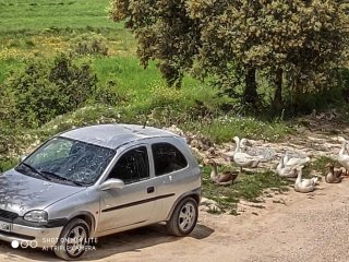 Opel Corsa 1.7D 2000 Gris Plata 90.000km
